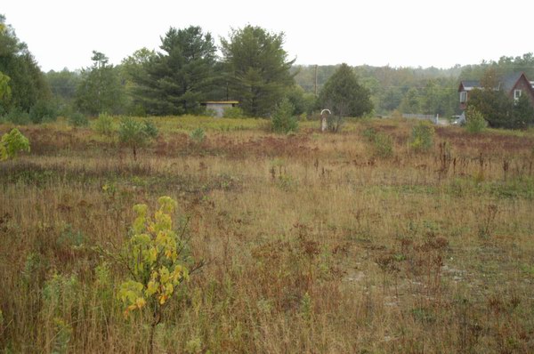 Lakes Drive-In Theatre - The Lot